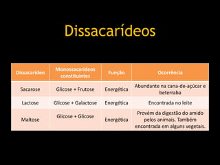 Dissacarídeo
Monossacarídeos
constituintes
Função Ocorrência
Sacarose Glicose + Frutose Energética
Abundante na cana-de-açúcar e
beterraba
Lactose Glicose + Galactose Energética Encontrada no leite
Maltose
Glicose + Glicose
Energética
Provém da digestão do amido
pelos animais. Também
encontrada em alguns vegetais.
Dissacarídeos
 