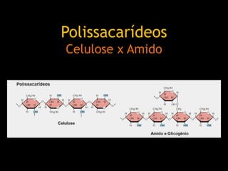 Polissacarídeos
Celulose x Amido
 