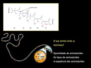 O QUE DIFERE ENTRE AS
PROTEÍNAS?
Quantidade de aminoácidos
Os tipos de aminoácidos
A sequência dos aminoácidos
 