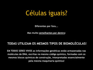 Diferentes por fora...
Mas muito semelhantes por dentro:
TODAS UTILIZAM OS MESMOS TIPOS DE BIOMOLÉCULAS!
EM TODOS SERES VIVOS as informações genéticas estão armazenadas nas
moléculas de DNA, escritas no mesmo código químico, formadas com os
mesmos blocos químicos de construção, interpretadas essencialmente
pela mesma maquinaria química!
Células iguais?
 