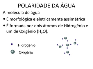 POLARIDADE DA ÁGUA
A molécula de água
• É morfológica e eletricamente assimétrica
• É formada por dois átomos de Hidrogênio e
  um de Oxigênio (H2O).

       Hidrogênio
        Oxigênio
 