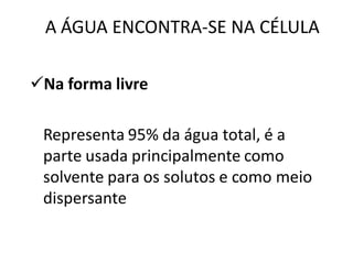 A ÁGUA ENCONTRA-SE NA CÉLULA

Na forma livre

 Representa 95% da água total, é a
 parte usada principalmente como
 solvente para os solutos e como meio
 dispersante
 