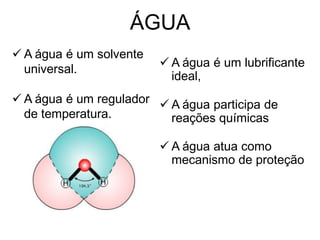 ÁGUA
 A água é um solvente
                          A água é um lubrificante
  universal.
                           ideal,
 A água é um regulador  A água participa de
  de temperatura.         reações químicas

                          A água atua como
                           mecanismo de proteção
 