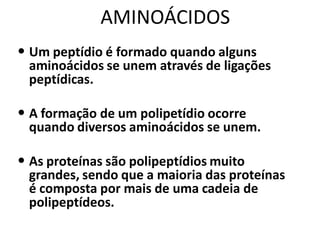 AMINOÁCIDOS
• Um peptídio é formado quando alguns
  aminoácidos se unem através de ligações
  peptídicas.

• A formação de um polipetídio ocorre
  quando diversos aminoácidos se unem.

• As proteínas são polipeptídios muito
  grandes, sendo que a maioria das proteínas
  é composta por mais de uma cadeia de
  polipeptídeos.
 