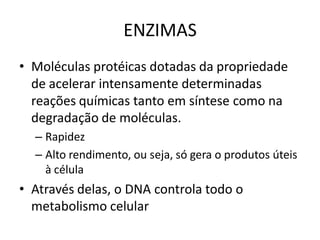 ENZIMAS
• Moléculas protéicas dotadas da propriedade
  de acelerar intensamente determinadas
  reações químicas tanto em síntese como na
  degradação de moléculas.
  – Rapidez
  – Alto rendimento, ou seja, só gera o produtos úteis
    à célula
• Através delas, o DNA controla todo o
  metabolismo celular
 