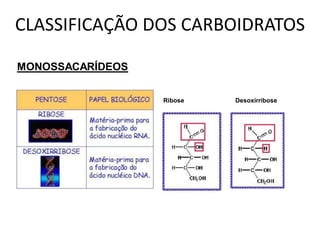 CLASSIFICAÇÃO DOS CARBOIDRATOS

MONOSSACARÍDEOS


                  Ribose   Desoxirribose
 