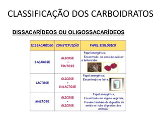 CLASSIFICAÇÃO DOS CARBOIDRATOS
DISSACARÍDEOS OU OLIGOSSACARÍDEOS
 