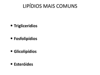 LIPÍDIOS MAIS COMUNS


• Trigliceridios

• Fosfolipídios

• Glicolipídios

• Esteróides
 