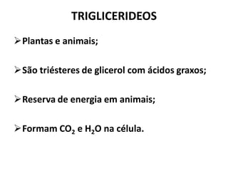 TRIGLICERIDEOS
Plantas e animais;

São triésteres de glicerol com ácidos graxos;

Reserva de energia em animais;

Formam CO2 e H2O na célula.
 