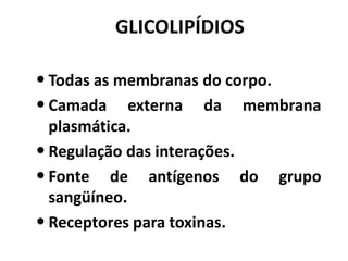 GLICOLIPÍDIOS

• Todas as membranas do corpo.
• Camada externa da membrana
  plasmática.
• Regulação das interações.
• Fonte de antígenos do       grupo
  sangüíneo.
• Receptores para toxinas.
 