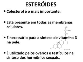 ESTERÓIDES
• Colesterol é o mais importante.

• Está presente em todas as membranas
 celulares.                             CH3

                                       HC     CH3

                                       (CH2)3


• É necessário para a síntese de vitamina D
                                       HC     CH3



 na pele.                        CH3



                            HO
                                       Colesterol


• É utilizado pelos ovários e testículos na
 síntese dos hormônios sexuais.
 