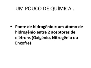 UM POUCO DE QUÍMICA...


 Ponte de hidrogênio = um átomo de
  hidrogênio entre 2 aceptores de
  elétrons (Oxigênio, Nitrogênio ou
  Enxofre)
 