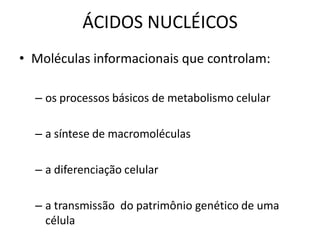 ÁCIDOS NUCLÉICOS
• Moléculas informacionais que controlam:

  – os processos básicos de metabolismo celular

  – a síntese de macromoléculas

  – a diferenciação celular

  – a transmissão do patrimônio genético de uma
    célula
 