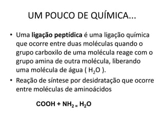 UM POUCO DE QUÍMICA...
• Uma ligação peptídica é uma ligação química
  que ocorre entre duas moléculas quando o
  grupo carboxilo de uma molécula reage com o
  grupo amina de outra molécula, liberando
  uma molécula de água ( H2O ).
• Reação de síntese por desidratação que ocorre
  entre moléculas de aminoácidos

        COOH + NH2 = H2O
 