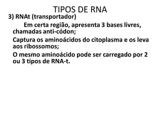 TIPOS DE RNA
3) RNAt (transportador)
     Em certa região, apresenta 3 bases livres,
 chamadas anti-códon;
 Captura os aminoácidos do citoplasma e os leva
 aos ribossomos;
 O mesmo aminoácido pode ser carregado por 2
 ou 3 tipos de RNA-t.
 