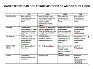CARACTERÍSTICAS DOS PRINCIPAIS TIPOS DE ÁCIDOS NUCLÉICOS
 