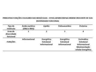 Composiçao quimica da celula