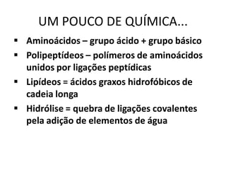 UM POUCO DE QUÍMICA...
 Aminoácidos – grupo ácido + grupo básico
 Polipeptídeos – polímeros de aminoácidos
  unidos por ligações peptídicas
 Lipídeos = ácidos graxos hidrofóbicos de
  cadeia longa
 Hidrólise = quebra de ligações covalentes
  pela adição de elementos de água
 