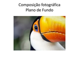Composição fotográfica
Plano de Fundo
 