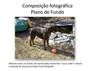 Composição fotográfica
Plano de Fundo
Observe como um fundo com demasiados elementos “causa ruído” e desvia
a atenção do assunto principal nesta fotografia.
 