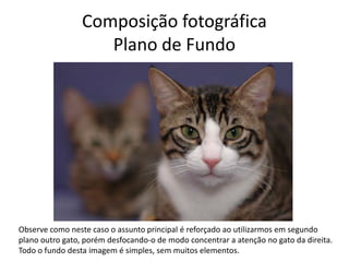Composição fotográfica
Plano de Fundo
Observe como neste caso o assunto principal é reforçado ao utilizarmos em segundo
plano outro gato, porém desfocando-o de modo concentrar a atenção no gato da direita.
Todo o fundo desta imagem é simples, sem muitos elementos.
 