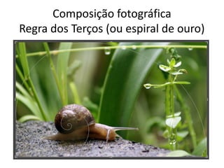 Composição fotográfica
Regra dos Terços (ou espiral de ouro)
 