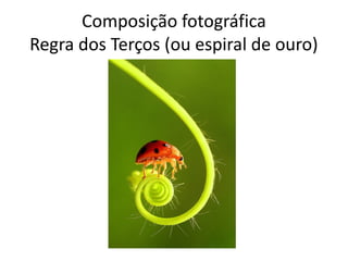 Composição fotográfica
Regra dos Terços (ou espiral de ouro)
 