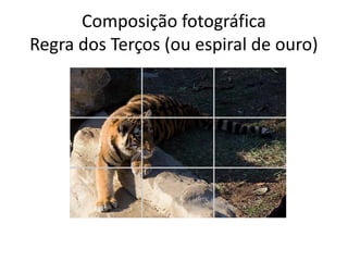 Composição fotográfica
Regra dos Terços (ou espiral de ouro)
 