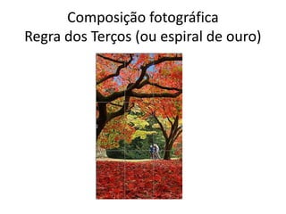 Composição fotográfica
Regra dos Terços (ou espiral de ouro)
 