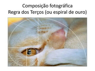Composição fotográfica
Regra dos Terços (ou espiral de ouro)
 