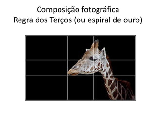 Composição fotográfica
Regra dos Terços (ou espiral de ouro)
 