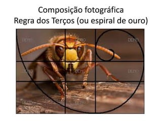 Composição fotográfica
Regra dos Terços (ou espiral de ouro)
 