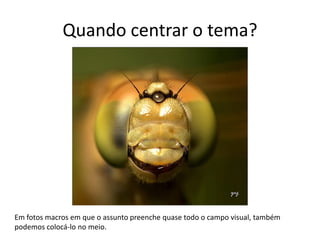 Quando centrar o tema?
Em fotos macros em que o assunto preenche quase todo o campo visual, também
podemos colocá-lo no meio.
 