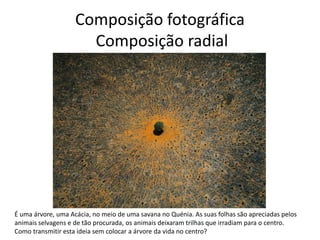 Composição fotográfica
Composição radial
É uma árvore, uma Acácia, no meio de uma savana no Quénia. As suas folhas são apreciadas pelos
animais selvagens e de tão procurada, os animais deixaram trilhas que irradiam para o centro.
Como transmitir esta ideia sem colocar a árvore da vida no centro?
 