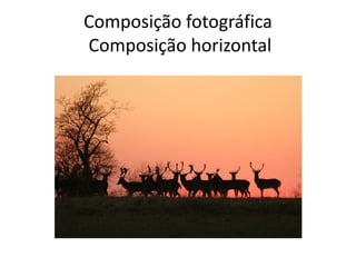 Composição fotográfica
Composição horizontal
 
