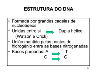 ESTRUTURA DO DNA Formada por grandes cadeias de nucleotídeos Unidas entre si  Dupla hélice  (Watson e Crick) União mantida pelas pontes de hidrogênio entre as bases nitrogenadas Bases pareadas: A  T C  G 