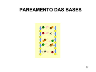 PAREAMENTO DAS BASES 