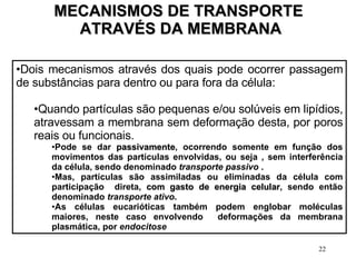 MECANISMOS DE TRANSPORTE  ATRAVÉS DA MEMBRANA Dois mecanismos através dos quais pode ocorrer passagem de substâncias para dentro ou para fora da célula: Quando partículas são pequenas e/ou solúveis em lipídios, atravessam a membrana sem deformação desta, por poros reais ou funcionais. Pode se dar  passivamente , ocorrendo somente em função dos movimentos das partículas envolvidas, ou seja , sem interferência da célula, sendo denominado  transporte   passivo  .  Mas, partículas são assimiladas ou eliminadas da célula com participação  direta,  com gasto de energia celular , sendo então denominado  transporte ativo .  As células eucarióticas também podem englobar moléculas maiores, neste caso envolvendo  deformações da membrana plasmática, por  endocitose   