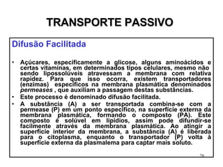 TRANSPORTE PASSIVO Difusão Facilitada Açúcares, especificamente a glicose, alguns aminoácidos e certas vitaminas, em determinados tipos celulares, mesmo não  sendo lipossolúveis atravessam a membrana com relativa rapidez. Para que isso ocorra, existem transportadores (enzimas)  específicos na membrana plasmática denominados  permeases  , que auxiliam a passagem destas substâncias. Este processo é denominado difusão facilitada. A substância (A) a ser transportada combina-se com a permease (P) em um ponto específico, na superfície externa da membrana plasmática, formando o composto (PA). Este composto é solúvel em lipídios, assim pode difundir-se facilmente através da membrana plasmática. Ao atingir a superfície interior da membrana, a substância (A) é liberada para o citoplasma, enquanto o transportador (P) volta à superfície externa da plasmalema para captar mais soluto . 