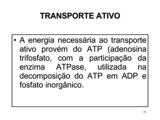 TRANSPORTE ATIVO A energia necessária ao transporte ativo provém do ATP (adenosina trifosfato, com a participação da enzima ATPase, utilizada na decomposição do ATP em ADP e fosfato inorgânico.  