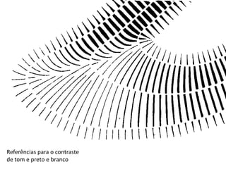 Referências para o contraste
de tom e preto e branco

 