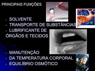 PRINCIPAIS FUNÇÕES
- SOLVENTE
- TRANSPORTE DE SUBSTÂNCIAS
- LUBRIFICANTE DE
ÓRGÃOS E TECIDOS
- MANUTENÇÃO
- DA TEMPERATURA CORPORAL
- EQUILÍBRIO OSMÓTICO
 