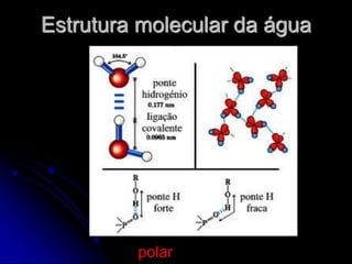 Estrutura molecular da água
polar
 