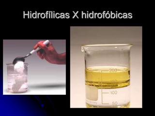 Hidrofílicas X hidrofóbicas
 