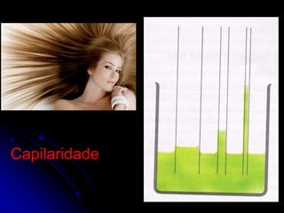Capilaridade
 