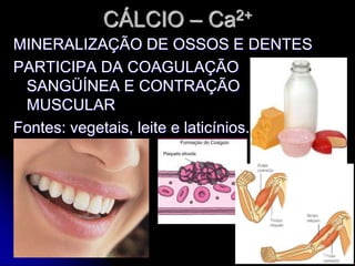CÁLCIO – Ca2+
MINERALIZAÇÃO DE OSSOS E DENTES
PARTICIPA DA COAGULAÇÃO
SANGÜÍNEA E CONTRAÇÃO
MUSCULAR
Fontes: vegetais, leite e laticínios.
 