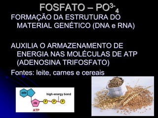 FOSFATO – PO3-
4
FORMAÇÃO DA ESTRUTURA DO
MATERIAL GENÉTICO (DNA e RNA)
AUXILIA O ARMAZENAMENTO DE
ENERGIA NAS MOLÉCULAS DE ATP
(ADENOSINA TRIFOSFATO)
Fontes: leite, carnes e cereais
 