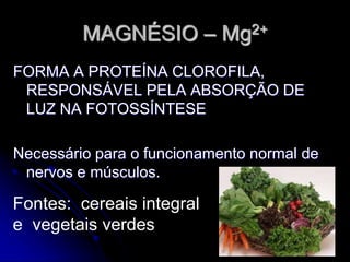 MAGNÉSIO – Mg2+
FORMA A PROTEÍNA CLOROFILA,
RESPONSÁVEL PELA ABSORÇÃO DE
LUZ NA FOTOSSÍNTESE
Necessário para o funcionamento normal de
nervos e músculos.
Fontes: cereais integral
e vegetais verdes
 
