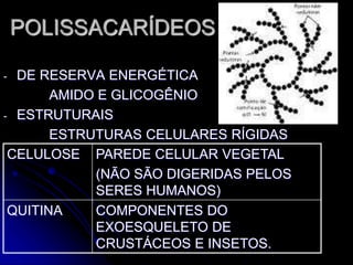 POLISSACARÍDEOS
- DE RESERVA ENERGÉTICA
AMIDO E GLICOGÊNIO
- ESTRUTURAIS
ESTRUTURAS CELULARES RÍGIDAS
CELULOSE PAREDE CELULAR VEGETAL
(NÃO SÃO DIGERIDAS PELOS
SERES HUMANOS)
QUITINA COMPONENTES DO
EXOESQUELETO DE
CRUSTÁCEOS E INSETOS.
 