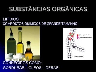 SUBSTÂNCIAS ORGÂNICAS
LIPÍDIOS
COMPOSTOS QUÍMICOS DE GRANDE TAMANHO
CONHECIDOS COMO:
GORDURAS – ÓLEOS – CERAS
 